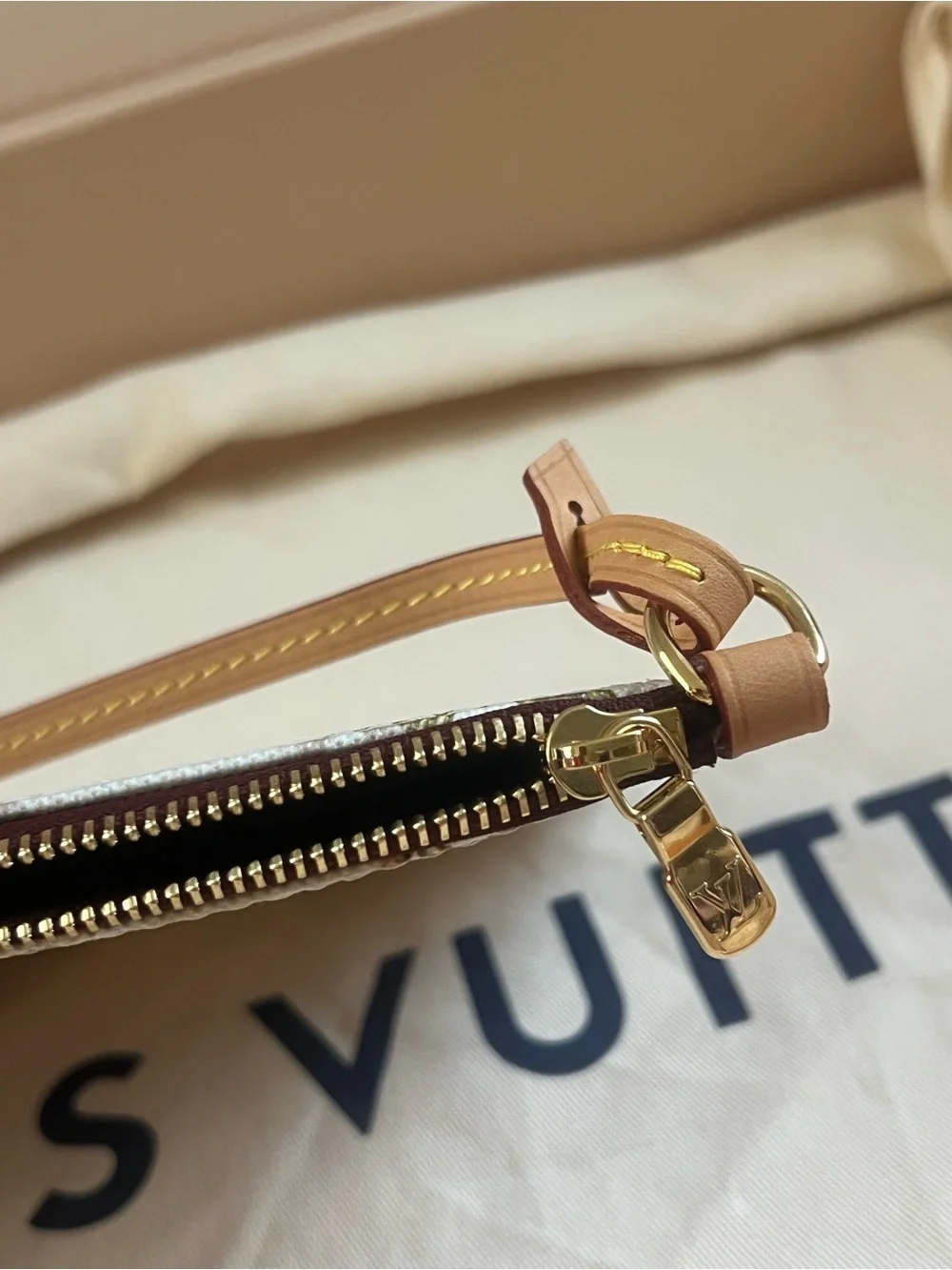 Louis Vuitton Mongram Dune Pochette